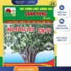 GÓI 20 GRAM - HẠT GIỐNG NGÒ RÍ BẠC LIÊU CN941 CANH NÔNG