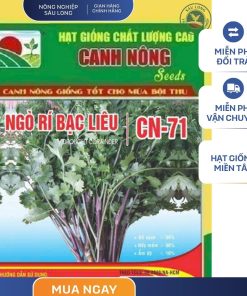 GÓI 20 GRAM - HẠT GIỐNG NGÒ RÍ BẠC LIÊU CN941 CANH NÔNG