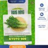 GÓI 2 GRAM - HẠT GIỐNG CẢI MIZUNA KYOTO 909 RẠNG ĐÔNG