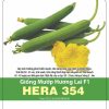 GÓI 1 GRAM – HẠT GIỐNG MƯỚP HƯƠNG LAI F1 HERA 354 RẠNG ĐÔNG
