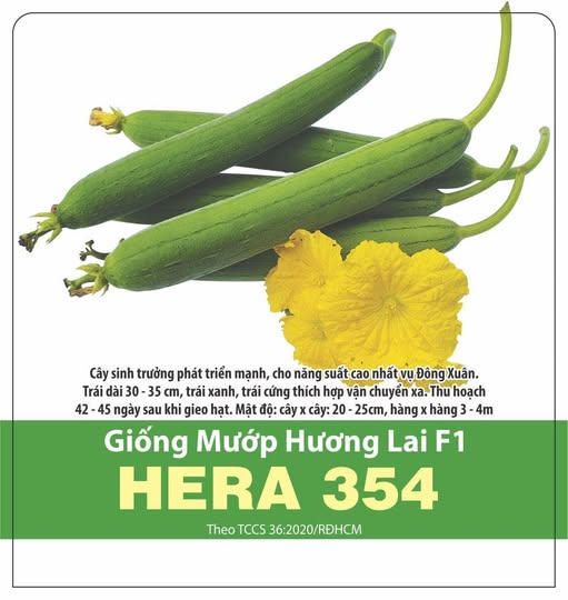 GÓI 1 GRAM – HẠT GIỐNG MƯỚP HƯƠNG LAI F1 HERA 354 RẠNG ĐÔNG