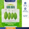 GÓI 2 GRAM – HẠT GIỐNG KHỔ QUA LAI F1 RADO 09 RẠNG ĐÔNG
