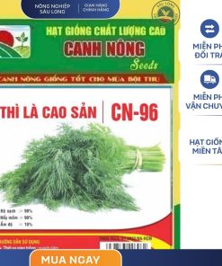 GÓI 10 GRAM - HẠT GIỐNG THÌ LÀ CAO SẢN CN96 CANH NÔNG