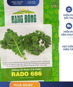 GÓI 5 GRAM - HẠT GIỐNG CẢI XOĂN (CẢI KALE) RADO 686 RẠNG ĐÔNG