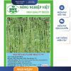 GÓI 50 GRAM - HẠT GIỐNG ĐẬU ĐŨA DA XANH NHẠT V77 NÔNG NGHIỆP VIỆT - NĂNG SUẤT CAO