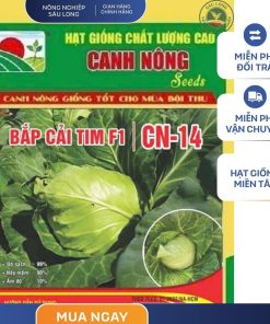 GÓI 0.5 GRAM - HẠT GIỐNG BẮP CẢI TIM F1 CN14 CANH NÔNG