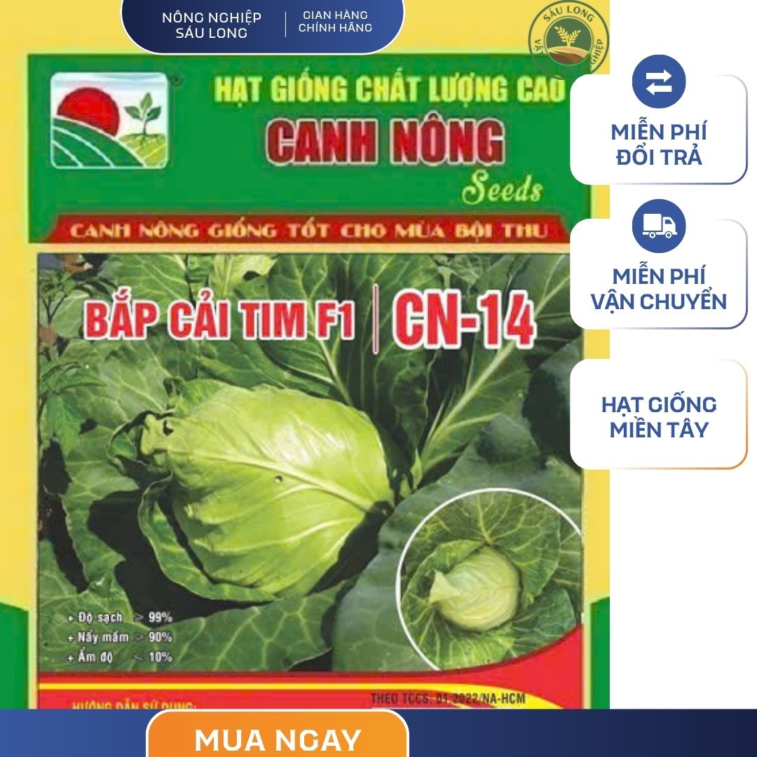 GÓI 0.5 GRAM - HẠT GIỐNG BẮP CẢI TIM F1 CN14 CANH NÔNG
