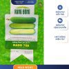 GÓI 1 GRAM – HẠT GIỐNG DƯA LEO LAI F1 RADO 758 RẠNG ĐÔNG