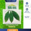GÓI 10 HẠT – HẠT GIỐNG KHỔ QUA XANH SANTA RẠNG ĐÔNG