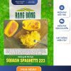 GÓI 10 HẠT – HẠT GIỐNG BÍ MÌ SỢI SQUASH SPAGHETTI 223 RẠNG ĐÔNG