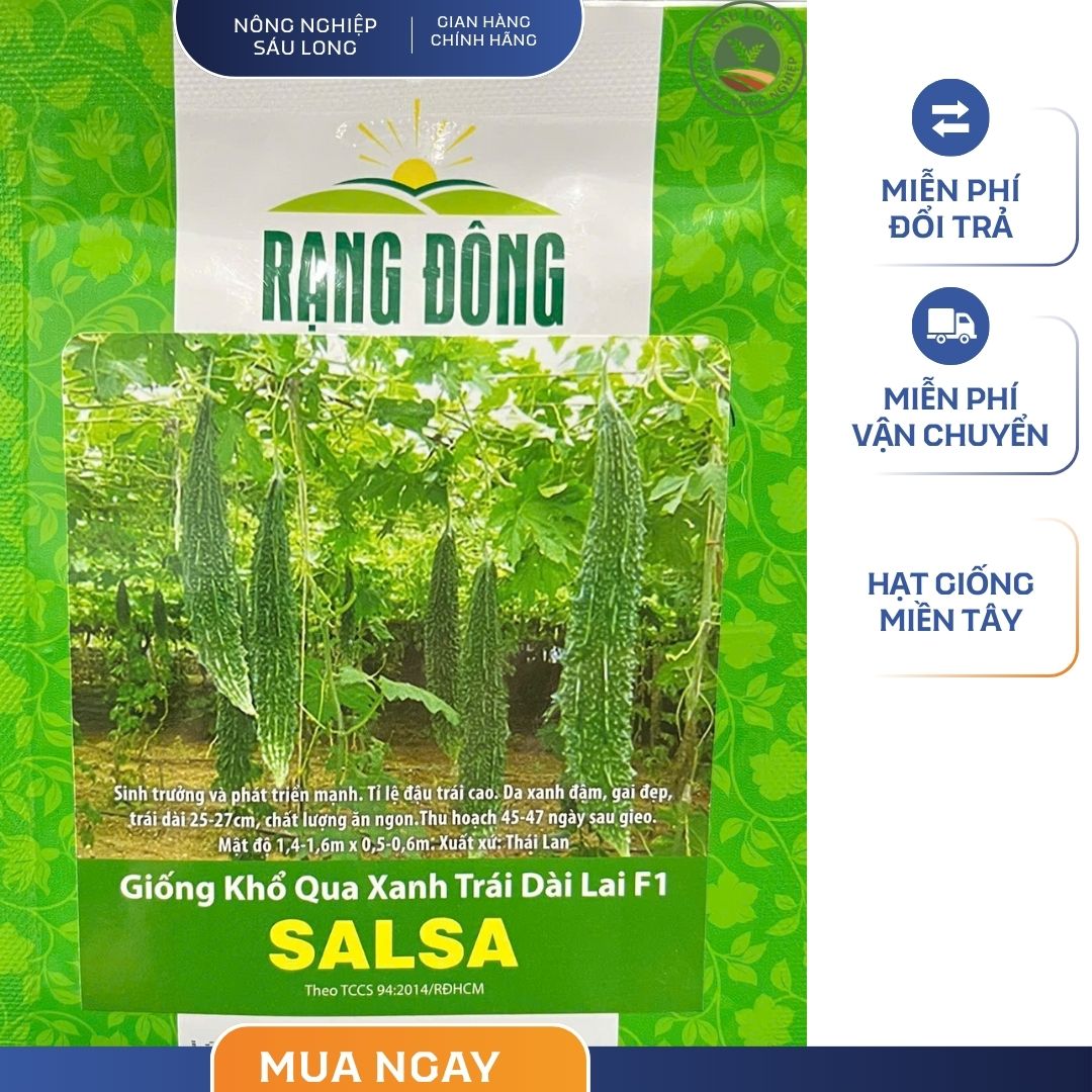 GÓI 5 HẠT – HẠT GIỐNG KHỔ QUA XANH TRÁI DÀI LAI F1 SALSA RẠNG ĐÔNG