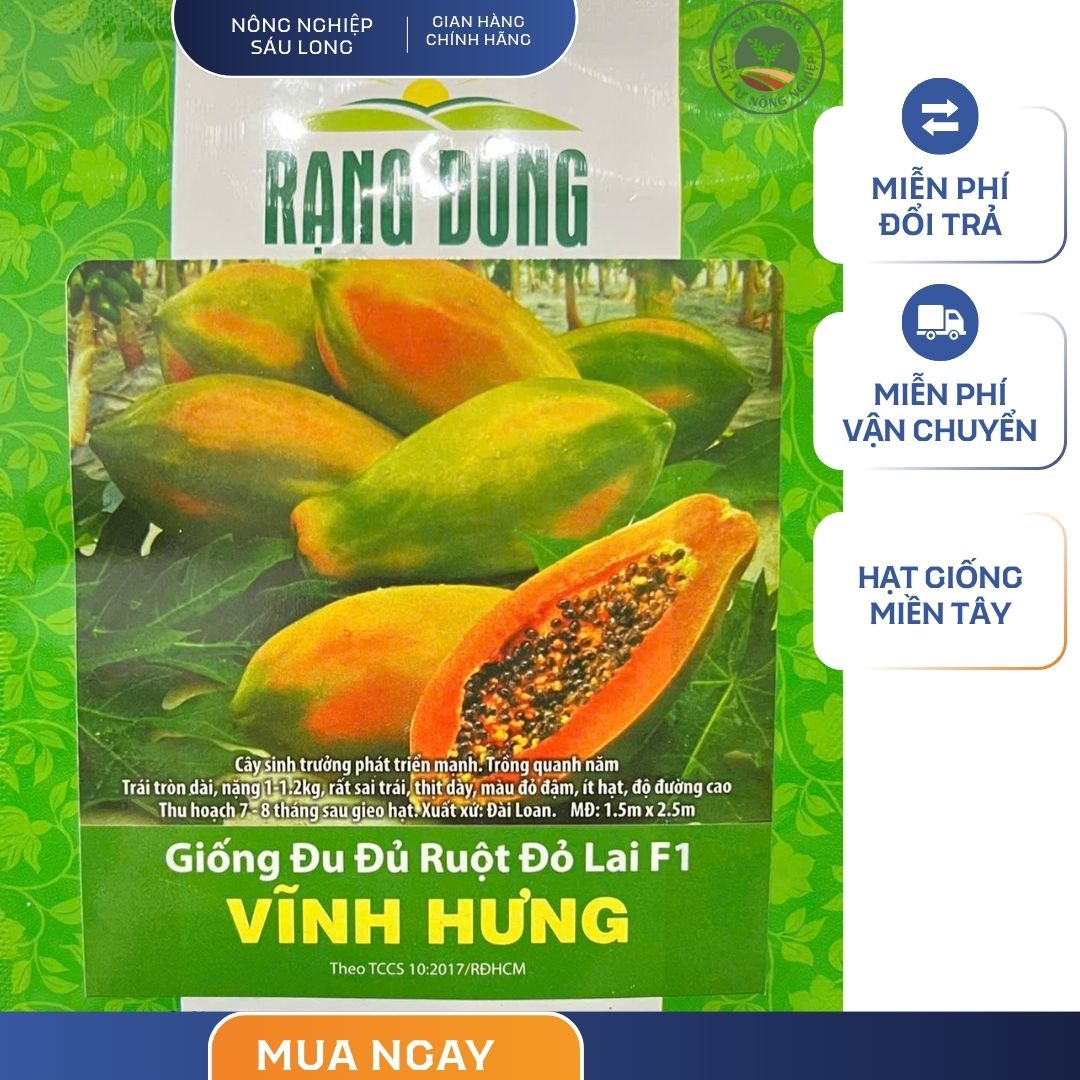 GÓI 5 HẠT – HẠT GIỐNG ĐU ĐỦ RUỘT ĐỎ F1 VĨNH HƯNG RẠNG ĐÔNG