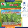 GÓI 20 GRAM - HẠT GIỐNG CẢI MÈO TÂY BẮC CN541 CANH NÔNG