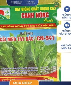 GÓI 20 GRAM - HẠT GIỐNG CẢI MÈO TÂY BẮC CN541 CANH NÔNG