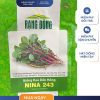 GÓI 2 GRAM - HẠT GIỐNG RAU DỀN HỒNG NINA 243 RẠNG ĐÔNG