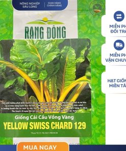 GÓI 5 GRAM - HẠT GIỐNG CẢI CẦU VÒNG VÀNG YELLOW SWISSCHARD 129 RẠNG ĐÔNG