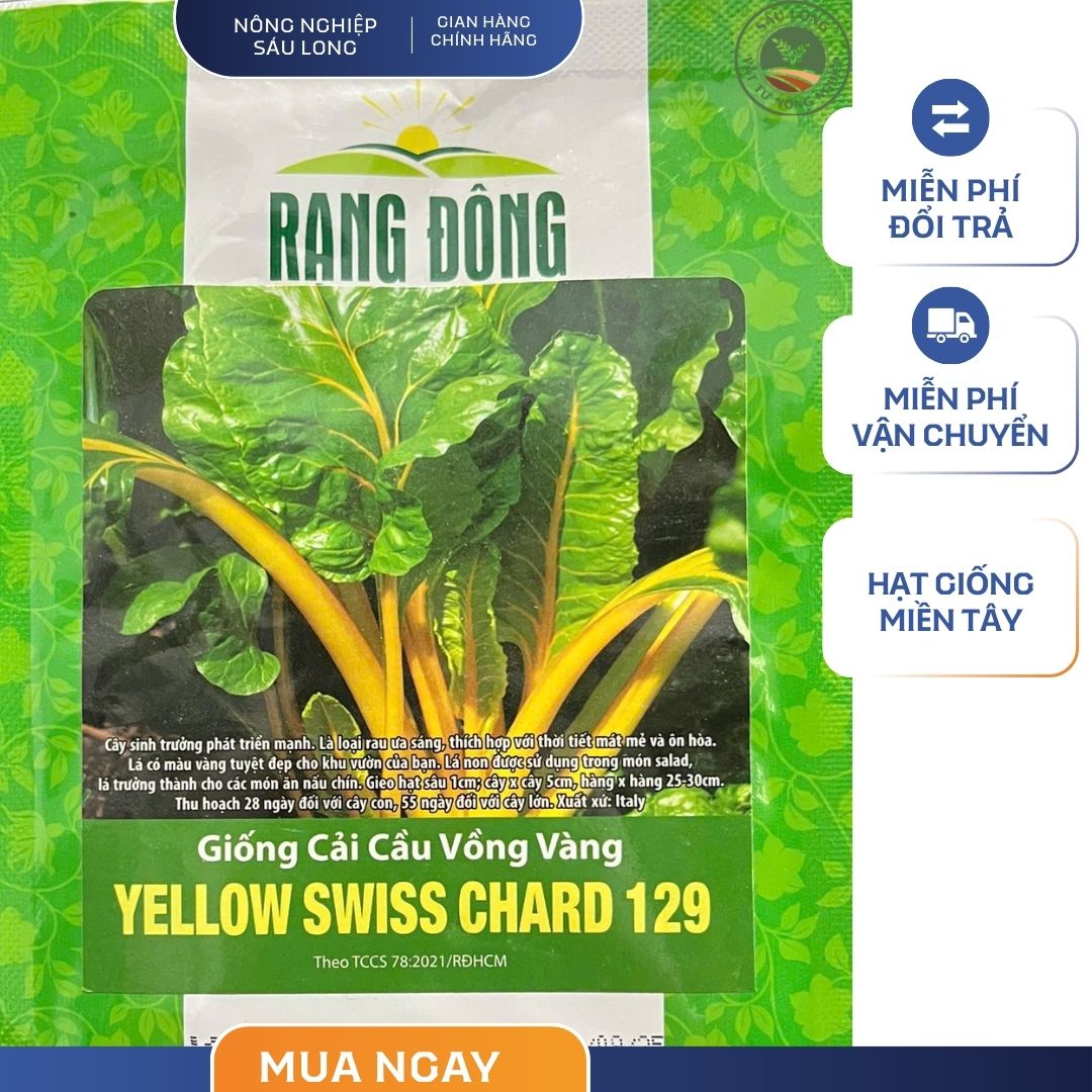 GÓI 5 GRAM - HẠT GIỐNG CẢI CẦU VÒNG VÀNG YELLOW SWISSCHARD 129 RẠNG ĐÔNG
