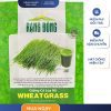 GÓI 20 GRAM - HẠT GIỐNG CỎ LÚA MÌ WHEATGRASS RẠNG ĐÔNG