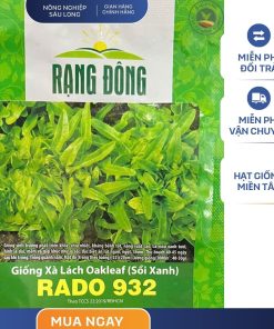 GÓI 2 GRAM - HẠT GIỐNG XÀ LÁCH OAKLEAF (SỒI XANH) RADO 932 RẠNG ĐÔNG