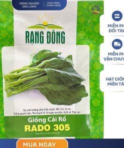 GÓI 5 GRAM - HẠT GIỐNG CẢI RỔ RADO 305 RẠNG ĐÔNG