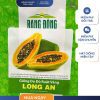 GÓI 10 HẠT – HẠT GIỐNG ĐU ĐỦ RUỘT VÀNG LONG AN RẠNG ĐÔNG