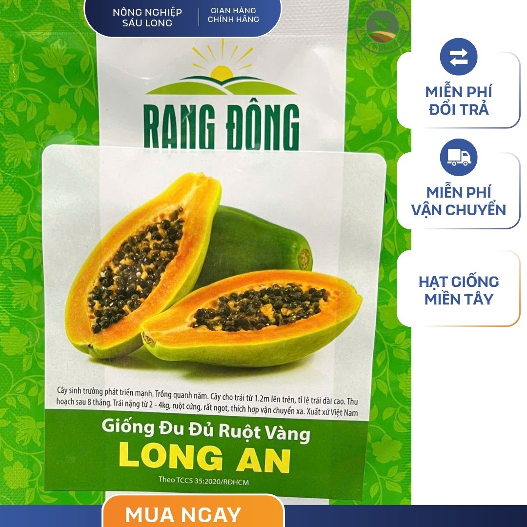 GÓI 10 HẠT – HẠT GIỐNG ĐU ĐỦ RUỘT VÀNG LONG AN RẠNG ĐÔNG