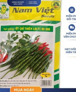 GÓI 5 GRAM - HẠT GIỐNG ỚT CHỈ THIÊN F1 NAM VIỆT 008 - NĂNG SUẤT