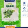 GÓI 20 GRAM - HẠT GIỐNG NGÒ HẠT NHỎ RADO 31 RẠNG ĐÔNG