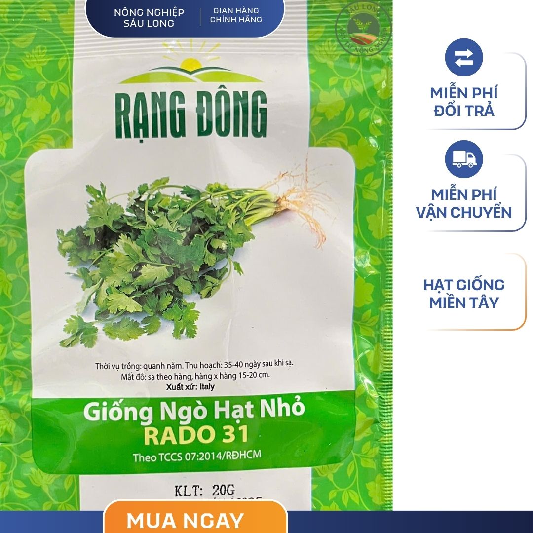 GÓI 20 GRAM - HẠT GIỐNG NGÒ HẠT NHỎ RADO 31 RẠNG ĐÔNG