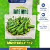 GÓI 0.2 GRAM – HẠT GIỐNG ỚT SỪNG XANH LAI F1 MONTEREY 447 RẠNG ĐÔNG