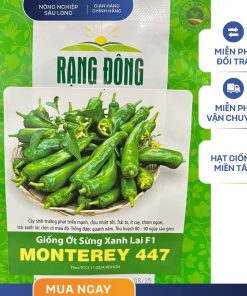 GÓI 0.2 GRAM – HẠT GIỐNG ỚT SỪNG XANH LAI F1 MONTEREY 447 RẠNG ĐÔNG