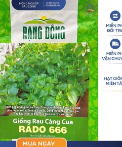 GÓI 0.5 GRAM – HẠT GIỐNG CÀNG CUA RADO 666 RẠNG ĐÔNG