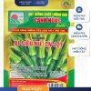 GÓI 10 HẠT - HẠT GIỐNG BÍ SIÊU NỤ F1 CN121 CANH NÔNG