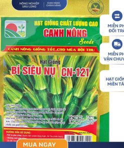 GÓI 10 HẠT - HẠT GIỐNG BÍ SIÊU NỤ F1 CN121 CANH NÔNG