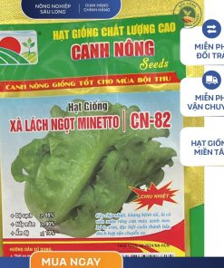 GÓI 2 GRAM - XÀ LÁCH NGỌT MINETTO CN82 CANH NÔNG