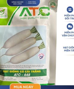 GÓI 100 GRAM - HẠT GIỐNG CỦ CẢI TRẮNG ATC 448 - NĂNG SUẤT CAO