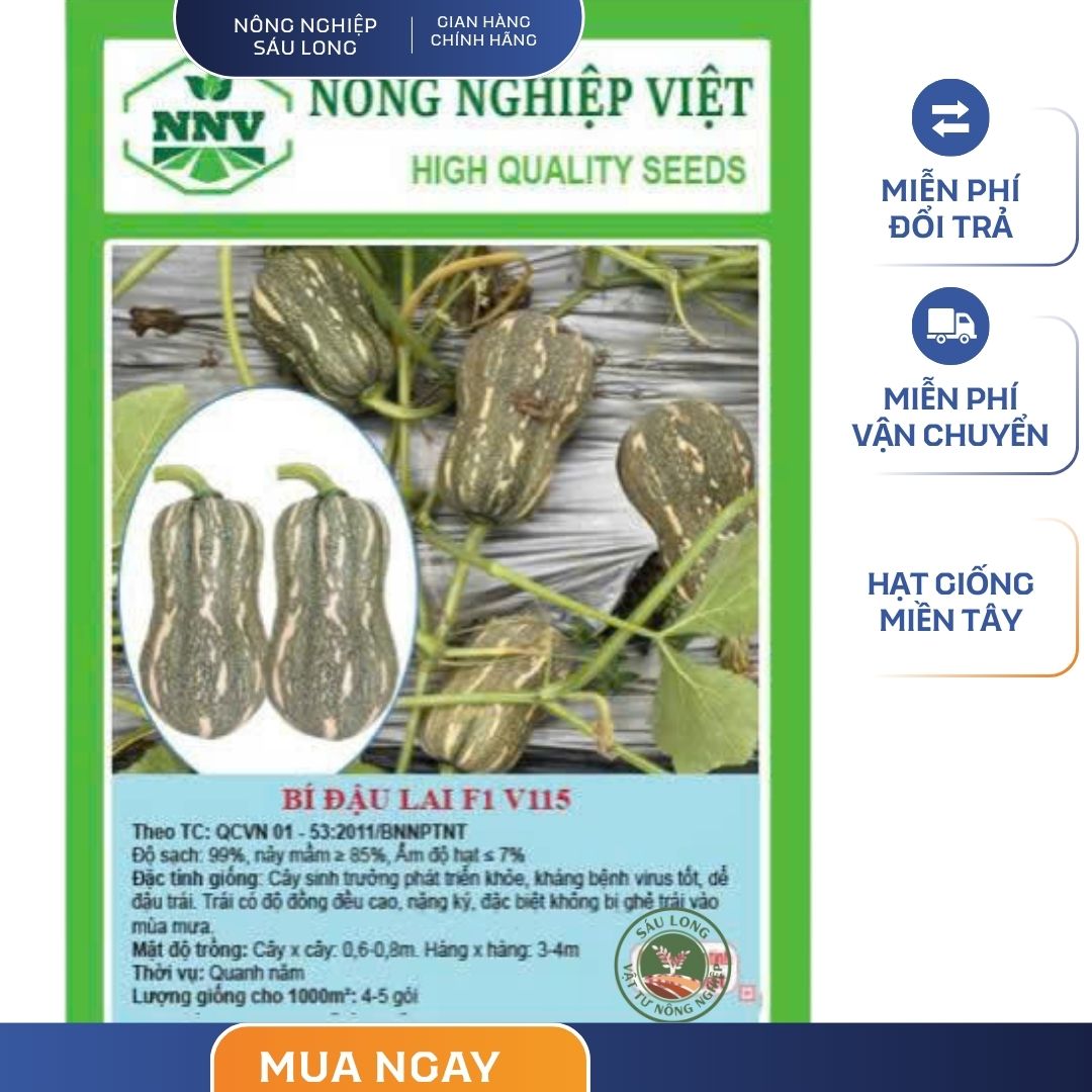 GÓI 20 HẠT - HẠT GIỐNG BÍ ĐẬU V115 NÔNG NGHIỆP VIỆT - NĂNG SUẤT CAO