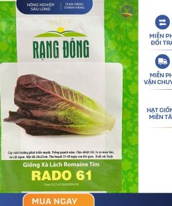 GÓI 2 GRAM - HẠT GIỐNG XÀ LÁCH ROMAINE TÍM RADO 61 RẠNG ĐÔNG