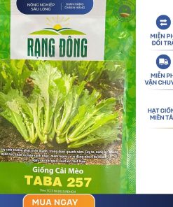 GÓI 20 GRAM - HẠT GIỐNG CẢI MÈO TABA 207 RẠNG ĐÔNG