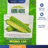 GÓI 5 HẠT – HẠT GIỐNG KHỔ QUA THÁI TRÁI DÀI MOMO 126 RẠNG ĐÔNG