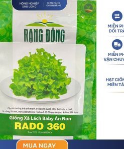 GÓI 10 GRAM - HẠT GIỐNG XÀ LÁCH BABY ĂN NON RADO 360 RẠNG ĐÔNG