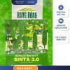 GÓI 0.2 GRAM – HẠT GIỐNG BÍ ĐAO LAI F1 SINTA 3.0 RẠNG ĐÔNG