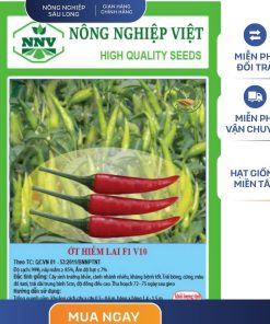 GÓI 0.5 GRAM - HẠT GIỐNG ỚT HIỂM LAI V10 NÔNG NGHIỆP VIỆT - NĂNG SUẤT CAO