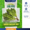 GÓI 1 GRAM - HẠT GIỐNG CẢI WASABI LAI F1 GREEN WASABI 888 RẠNG ĐÔNG
