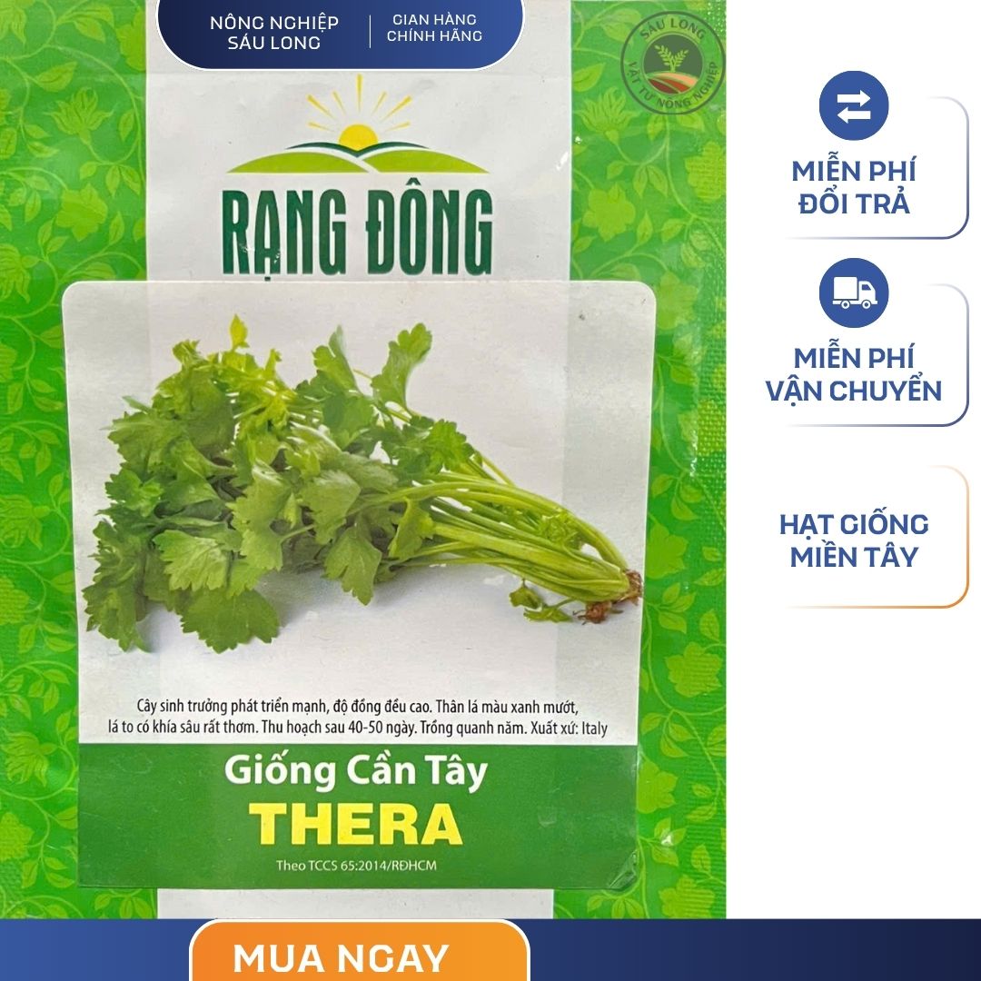 GÓI 5 GRAM - HẠT GIỐNG CẦN TÂY THERA RẠNG ĐÔNG