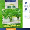 GÓI 2 GRAM – HẠT GIỐNG BẮP CẢI TÍ HON BRUSSELS SPROUT 219 RẠNG ĐÔNG
