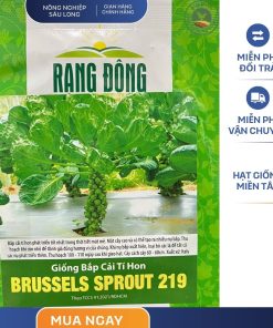 GÓI 2 GRAM – HẠT GIỐNG BẮP CẢI TÍ HON BRUSSELS SPROUT 219 RẠNG ĐÔNG
