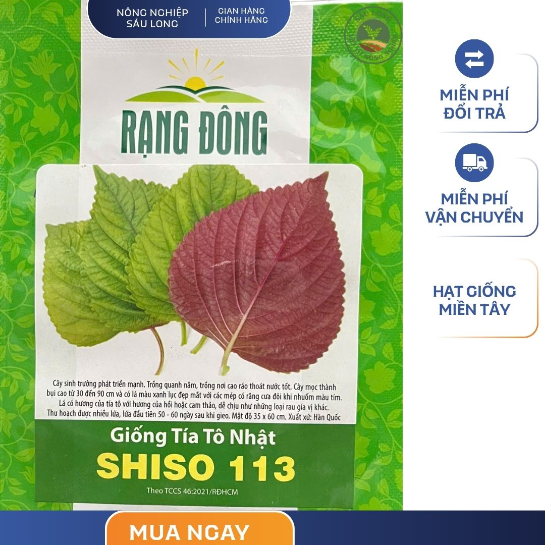 GÓI 0.5 GRAM - HẠT GIỐNG TÍA TÔ NHẬT SHISO 113 RẠNG ĐÔNG