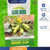 GÓI 5 HẠT – HẠT GIỐNG BÍ NGÒI SỮA LAI F1 RADO 448 RẠNG ĐÔNG