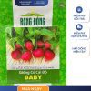 GÓI 2 GRAM – HẠT GIỐNG CỦ CẢI ĐỎ TRÒN BABY RẠNG ĐÔNG